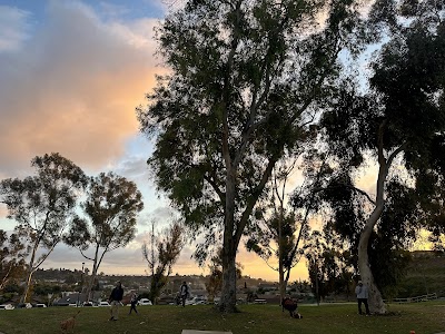 Mountain View Sports & Racquet