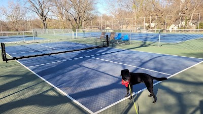 Pickleball Court